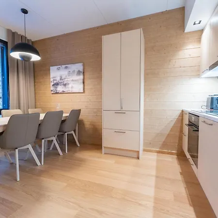 Arctic Echo D20 Ski-in Ski-out By Aavalevi Daire Levi